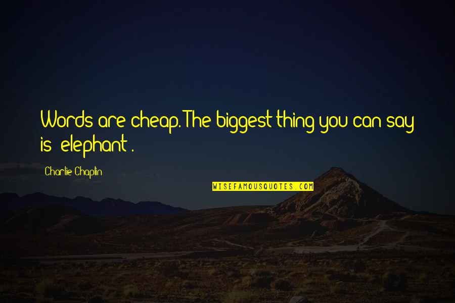 Blindman's Quotes By Charlie Chaplin: Words are cheap. The biggest thing you can