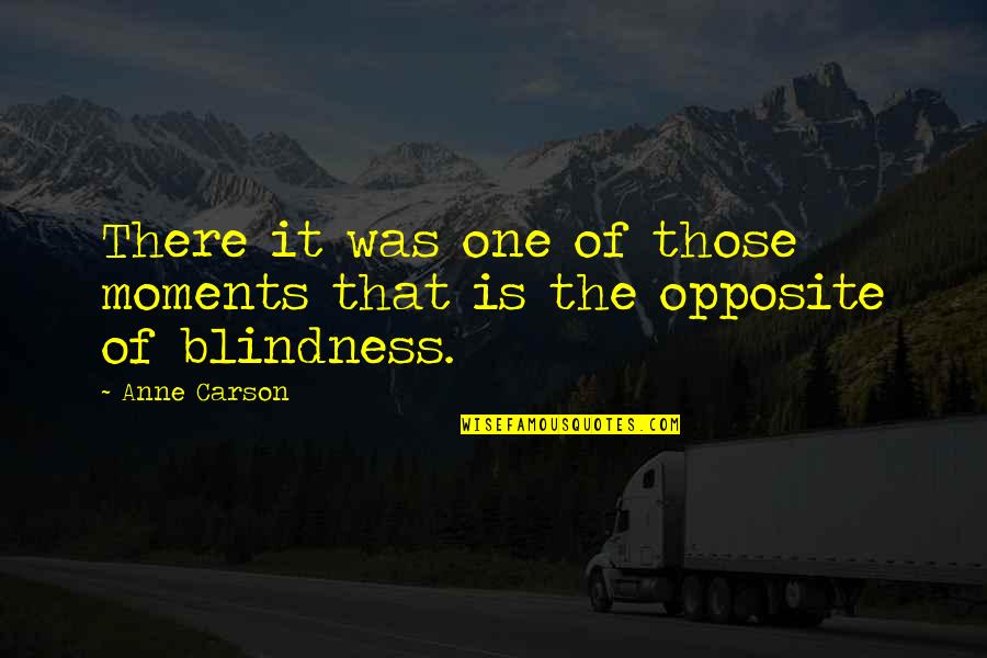 Blindness Quotes By Anne Carson: There it was one of those moments that