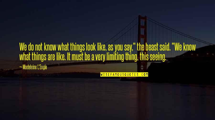 Blindness Seeing Quotes By Madeleine L'Engle: We do not know what things look like,