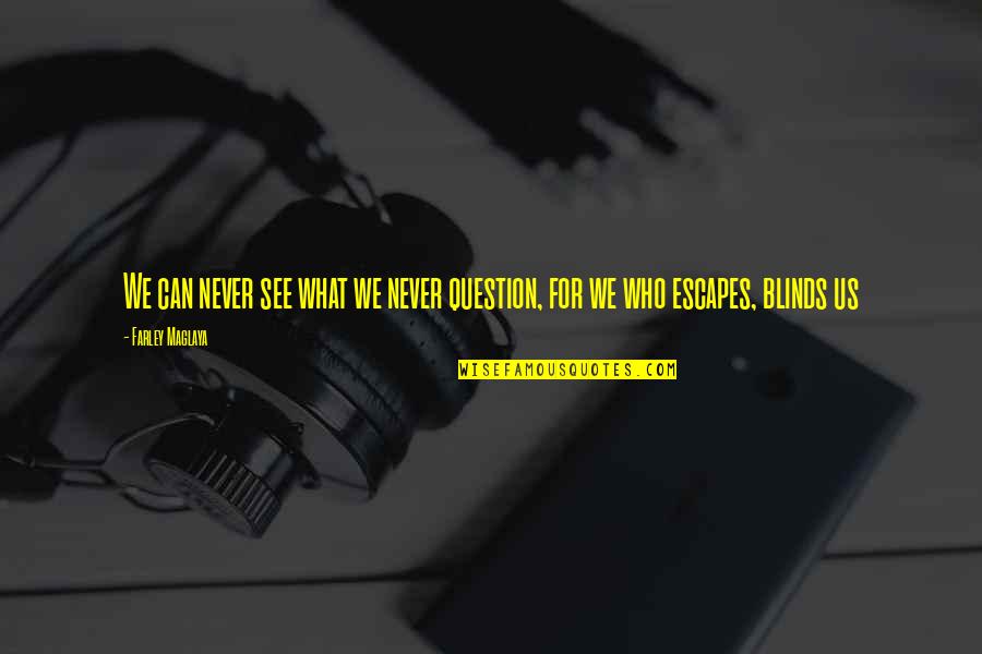 Blinds Quotes By Farley Maglaya: We can never see what we never question,