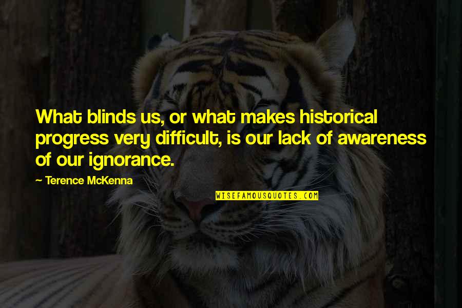 Blinds Quotes By Terence McKenna: What blinds us, or what makes historical progress