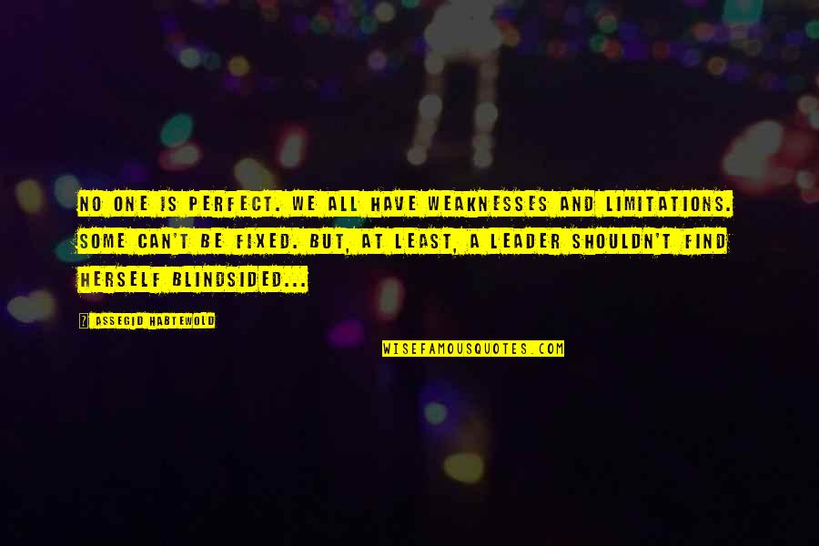 Blindsided Quotes By Assegid Habtewold: No one is perfect. We all have weaknesses Blindsided Quotes By Assegid Habtewold: No one is perfect. We all have weaknesses