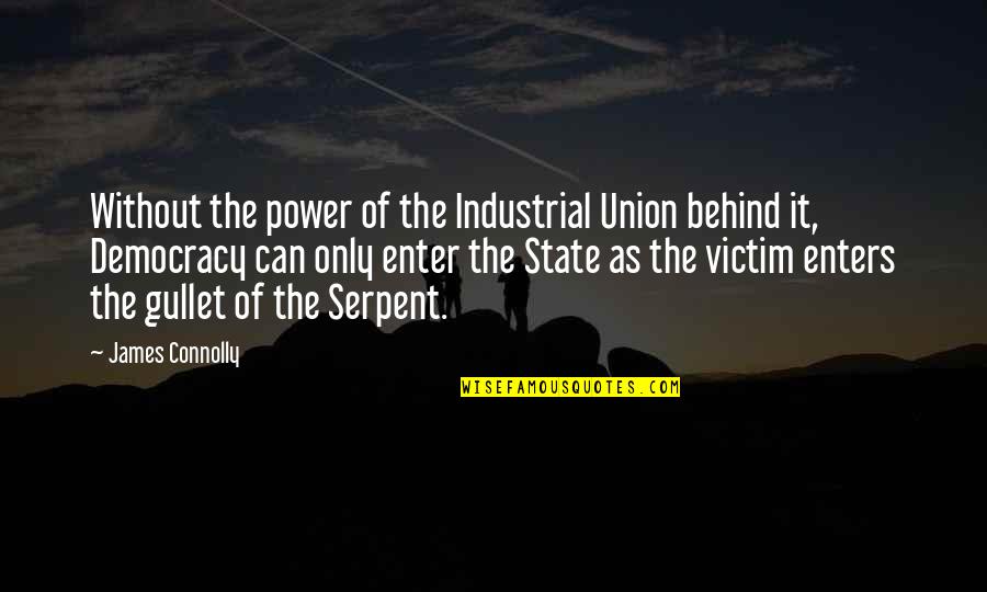 Blinis Quotes By James Connolly: Without the power of the Industrial Union behind Blinis Quotes By James Connolly: Without the power of the Industrial Union behind