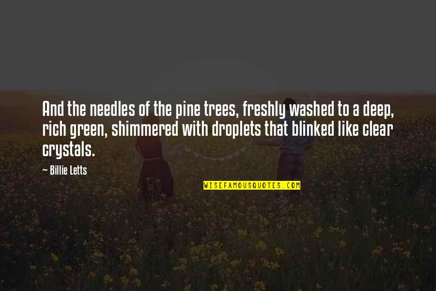 Blinked Quotes By Billie Letts: And the needles of the pine trees, freshly