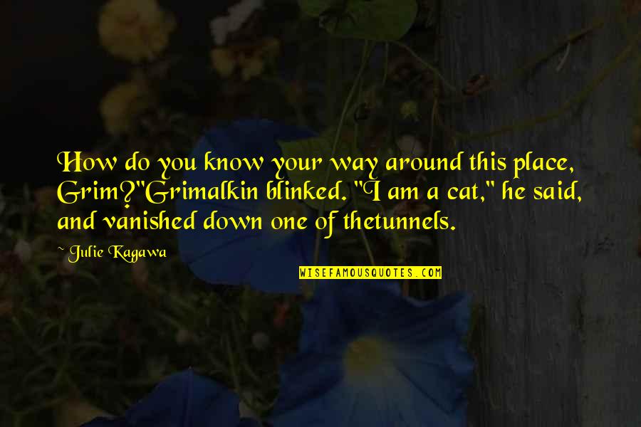 Blinked Quotes By Julie Kagawa: How do you know your way around this