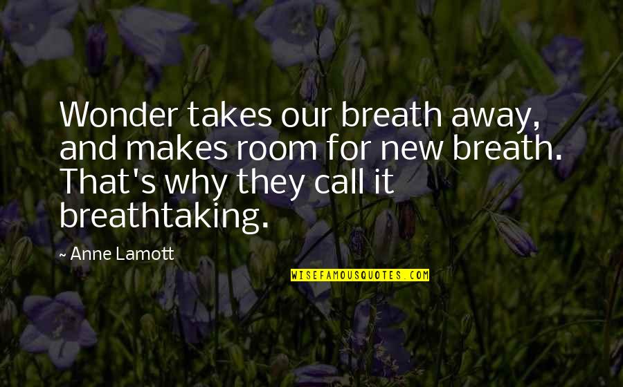 Blinkered Quotes By Anne Lamott: Wonder takes our breath away, and makes room