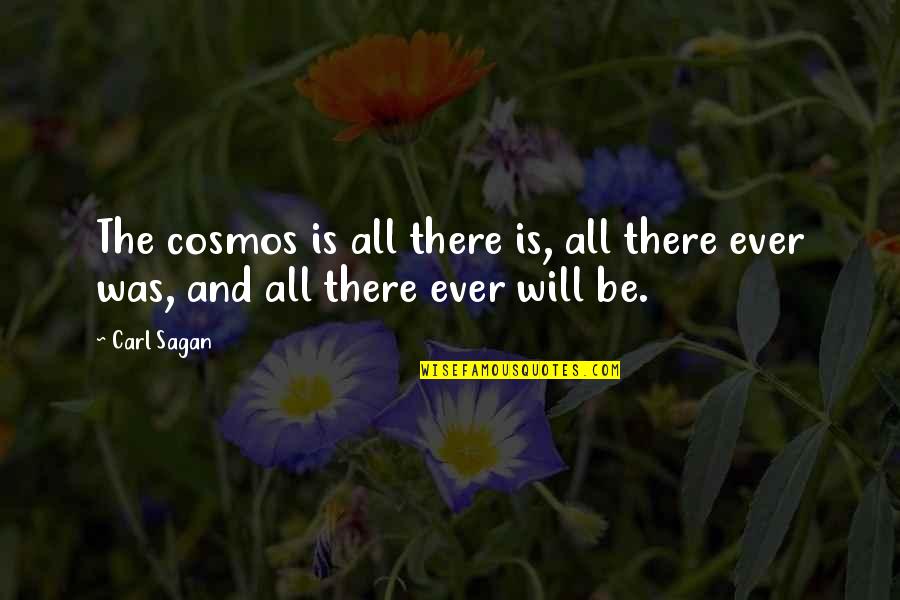 Blinkers Quotes By Carl Sagan: The cosmos is all there is, all there
