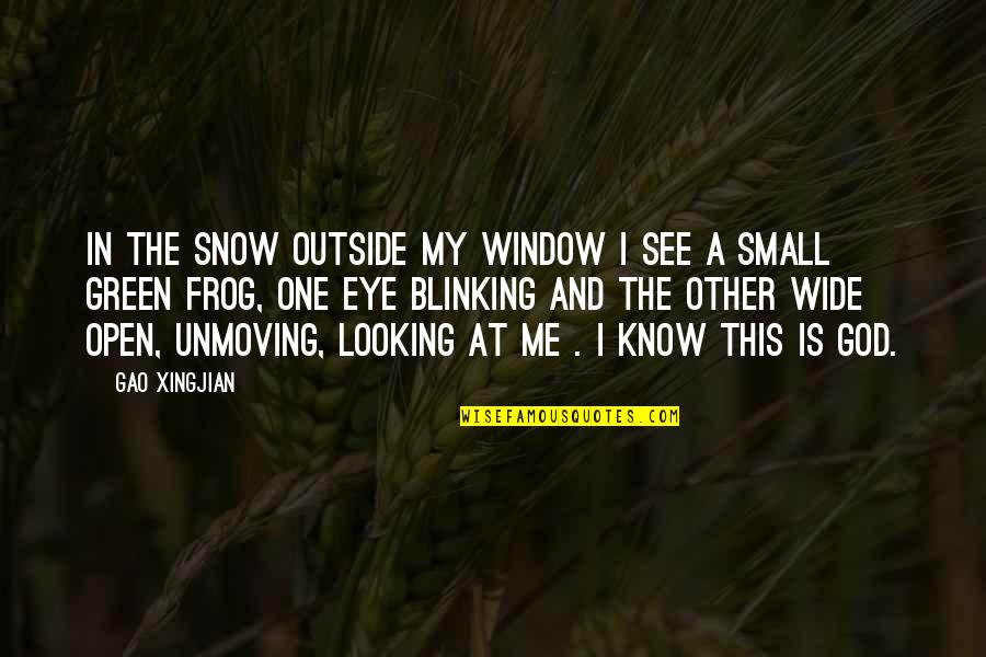 Blinking Quotes By Gao Xingjian: In the snow outside my window I see