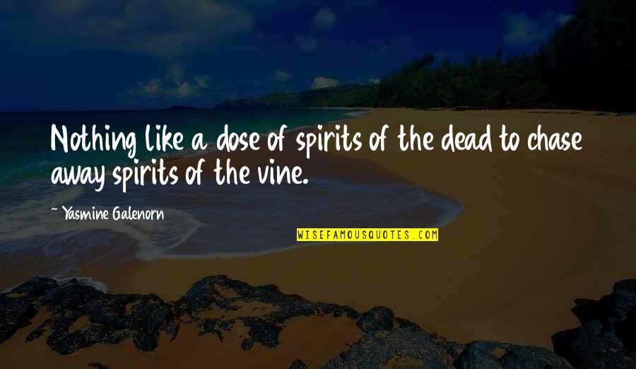 Bliss Llewellyn Quotes By Yasmine Galenorn: Nothing like a dose of spirits of the