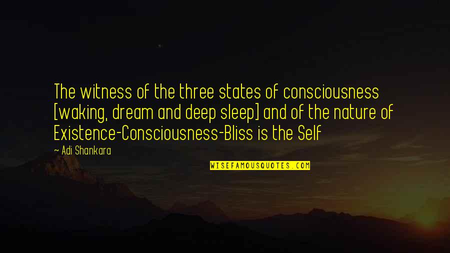 Bliss Of Nature Quotes By Adi Shankara: The witness of the three states of consciousness