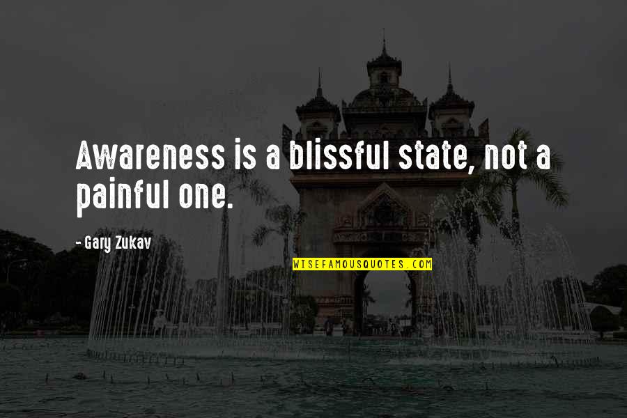 Blissful State Quotes By Gary Zukav: Awareness is a blissful state, not a painful