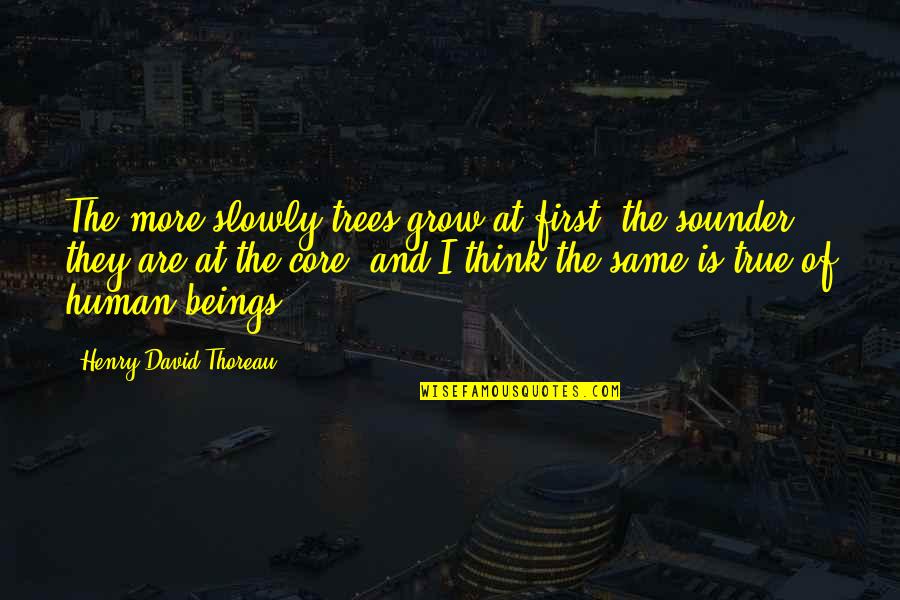 Blissfully Married Quotes By Henry David Thoreau: The more slowly trees grow at first, the