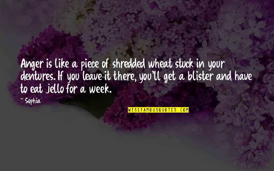 Blister Quotes By Sophia: Anger is like a piece of shredded wheat