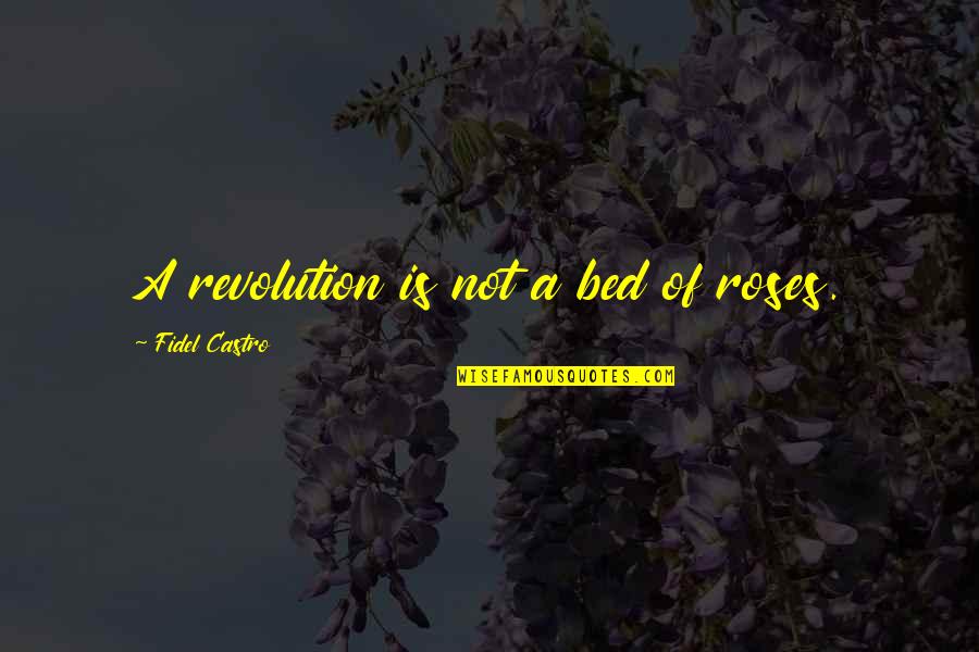 Blitzer's Quotes By Fidel Castro: A revolution is not a bed of roses. Blitzer's Quotes By Fidel Castro: A revolution is not a bed of roses.