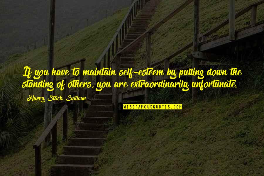 Block Kar Diya Quotes By Harry Stack Sullivan: If you have to maintain self-esteem by pulling Block Kar Diya Quotes By Harry Stack Sullivan: If you have to maintain self-esteem by pulling