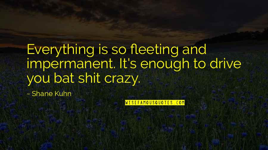 Blocked Deleted Quotes By Shane Kuhn: Everything is so fleeting and impermanent. It's enough