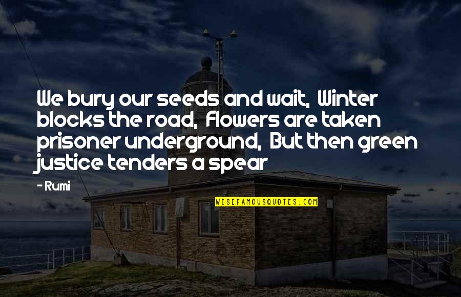 Blocks Quotes By Rumi: We bury our seeds and wait, Winter blocks