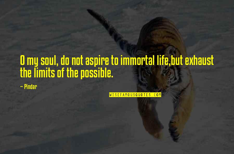 Blodera Quotes By Pindar: O my soul, do not aspire to immortal