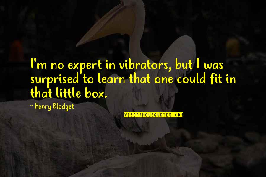 Blodget Quotes By Henry Blodget: I'm no expert in vibrators, but I was