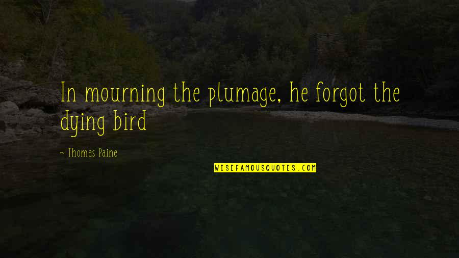 Blogged Quotes By Thomas Paine: In mourning the plumage, he forgot the dying