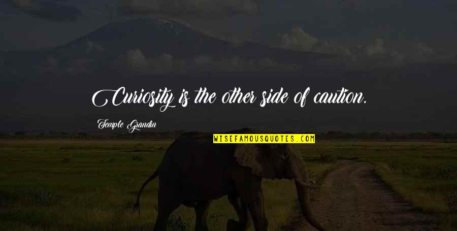Blokken Bouwen Quotes By Temple Grandin: Curiosity is the other side of caution.