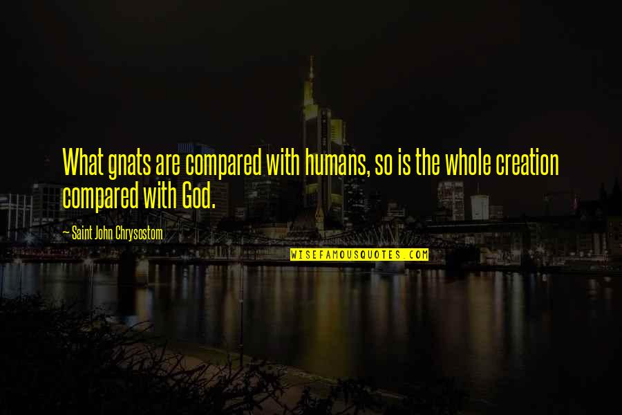 Blomsterbergs Quotes By Saint John Chrysostom: What gnats are compared with humans, so is