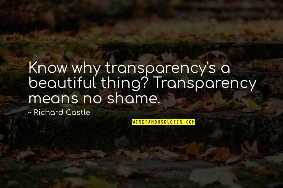 Blonde And Brown Hair Quotes By Richard Castle: Know why transparency's a beautiful thing? Transparency means