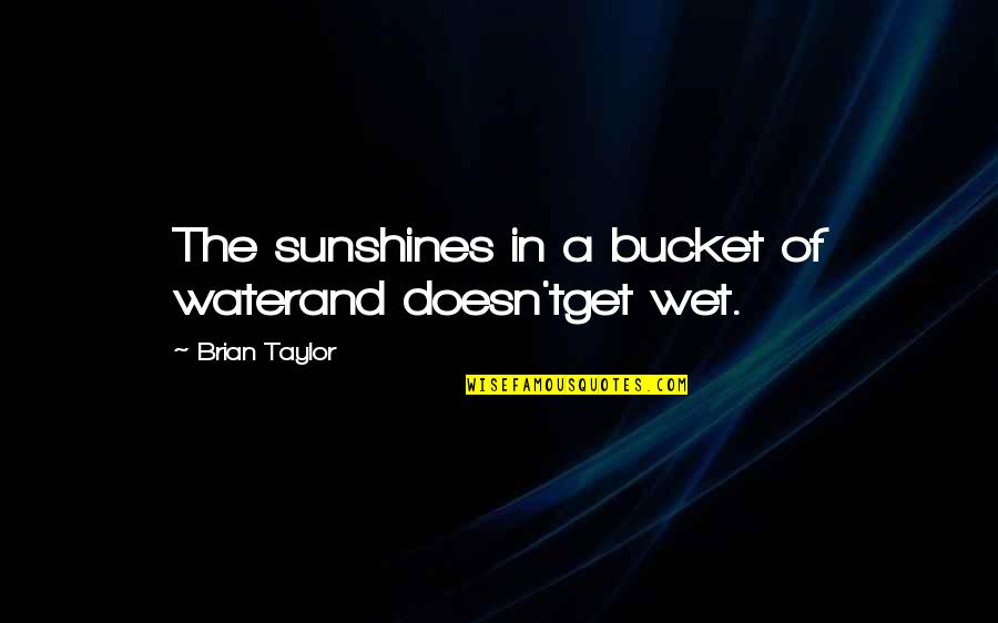 Blondin Quotes By Brian Taylor: The sunshines in a bucket of waterand doesn'tget