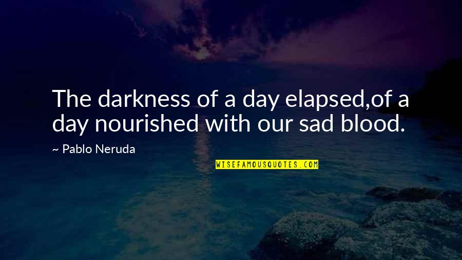 Blood And Darkness Quotes By Pablo Neruda: The darkness of a day elapsed,of a day