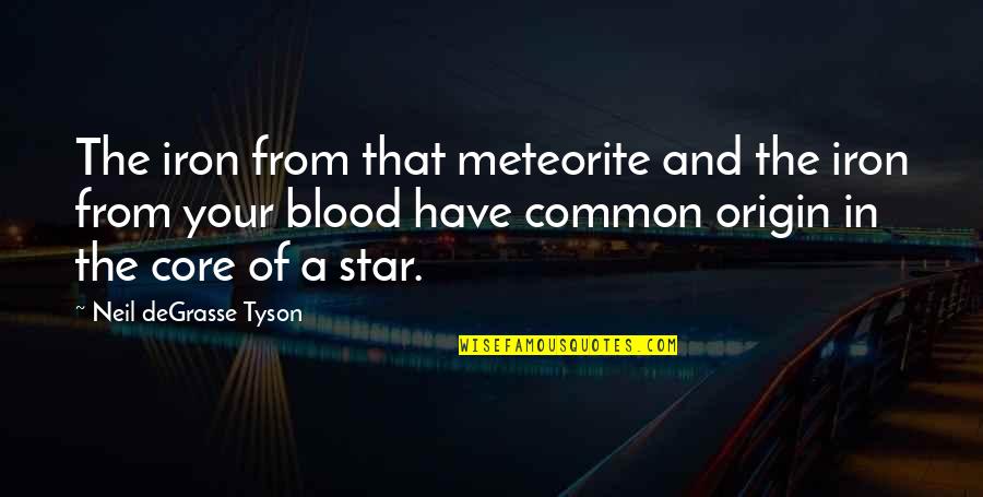 Blood And Iron Quotes By Neil DeGrasse Tyson: The iron from that meteorite and the iron