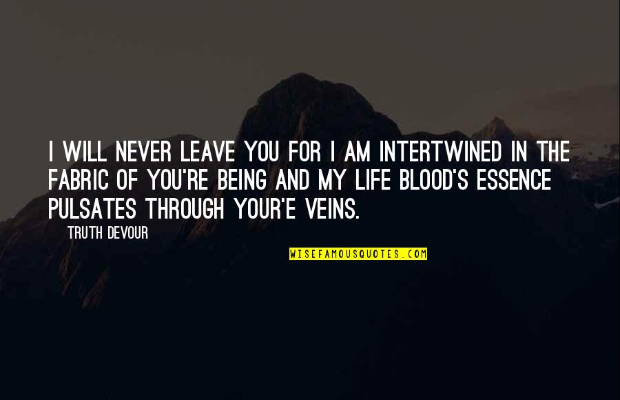 Blood And Life Quotes By Truth Devour: I will never leave you for I am