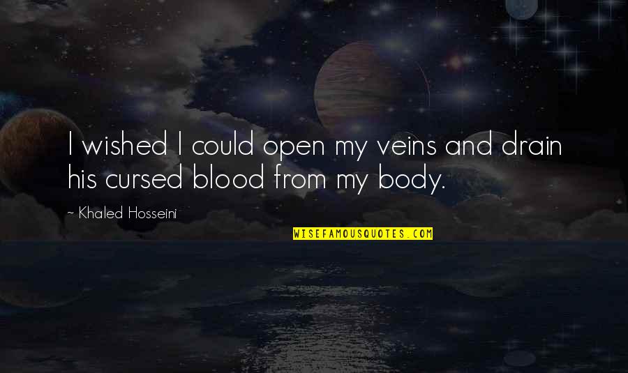 Blood And Veins Quotes By Khaled Hosseini: I wished I could open my veins and