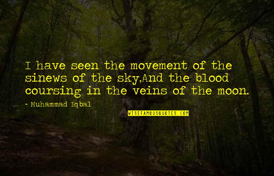 Blood And Veins Quotes By Muhammad Iqbal: I have seen the movement of the sinews