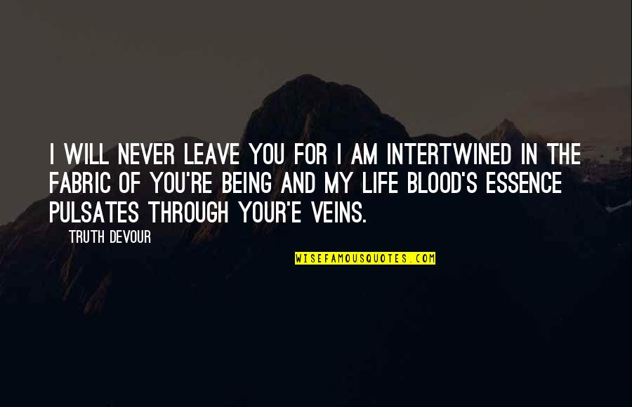 Blood And Veins Quotes By Truth Devour: I will never leave you for I am