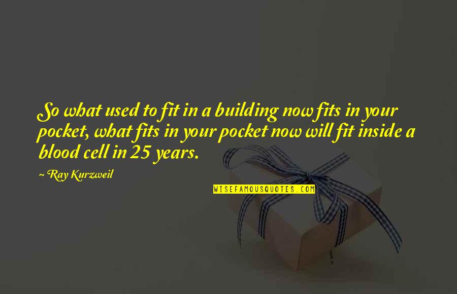 Blood Cells Quotes By Ray Kurzweil: So what used to fit in a building