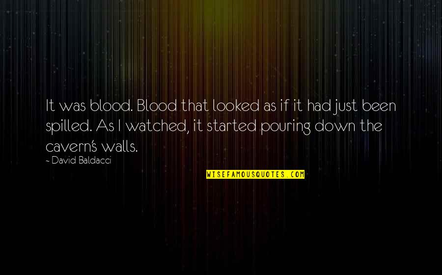 Blood If Quotes By David Baldacci: It was blood. Blood that looked as if
