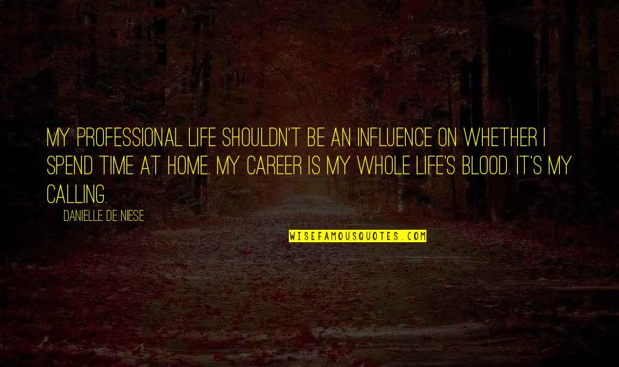 Blood Life Quotes By Danielle De Niese: My professional life shouldn't be an influence on