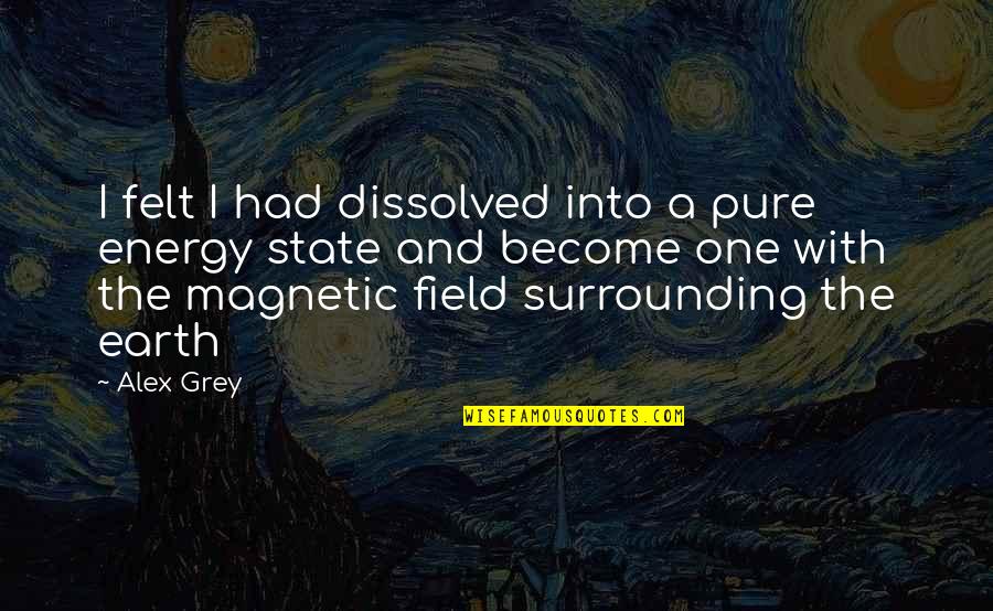 Blood Moons Quotes By Alex Grey: I felt I had dissolved into a pure
