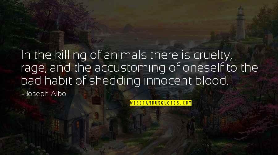 Blood Shedding Quotes By Joseph Albo: In the killing of animals there is cruelty,