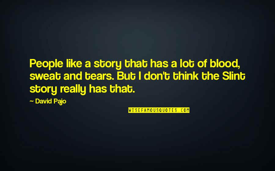 Blood Sweat Tears Quotes By David Pajo: People like a story that has a lot
