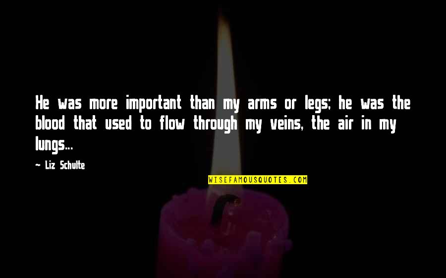 Blood Veins Quotes By Liz Schulte: He was more important than my arms or Blood Veins Quotes By Liz Schulte: He was more important than my arms or