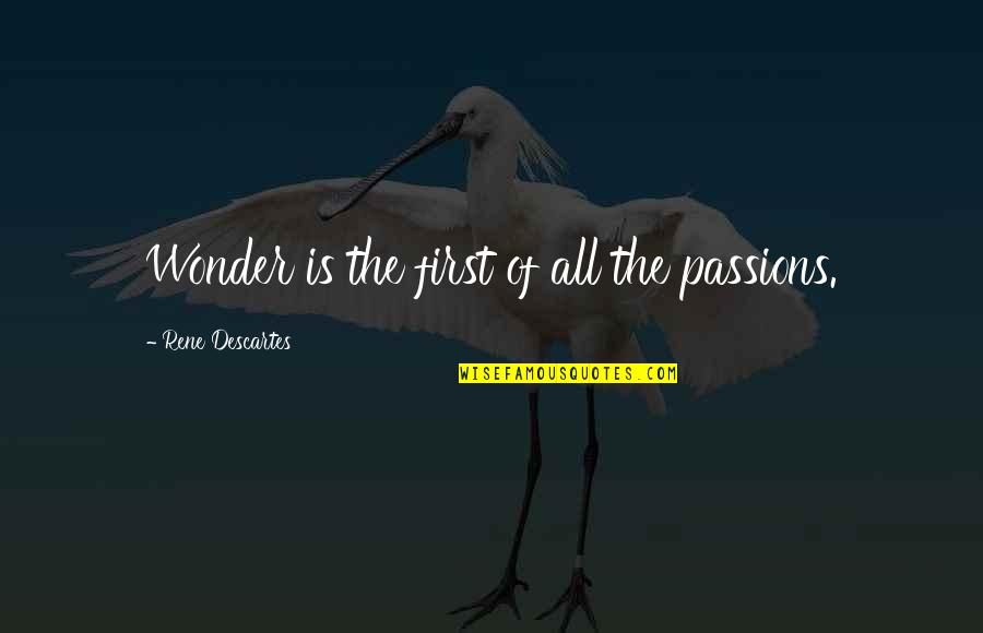 Bloodaxe Worg Quotes By Rene Descartes: Wonder is the first of all the passions.