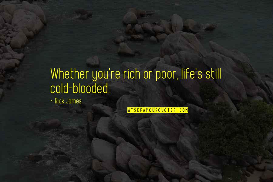 Blooded Quotes By Rick James: Whether you're rich or poor, life's still cold-blooded.