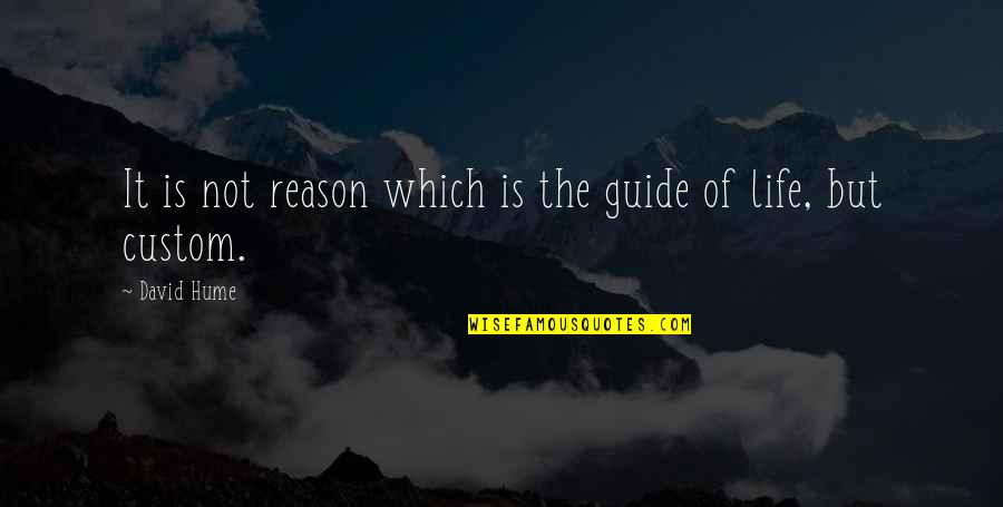 Bloodgroove Quotes By David Hume: It is not reason which is the guide