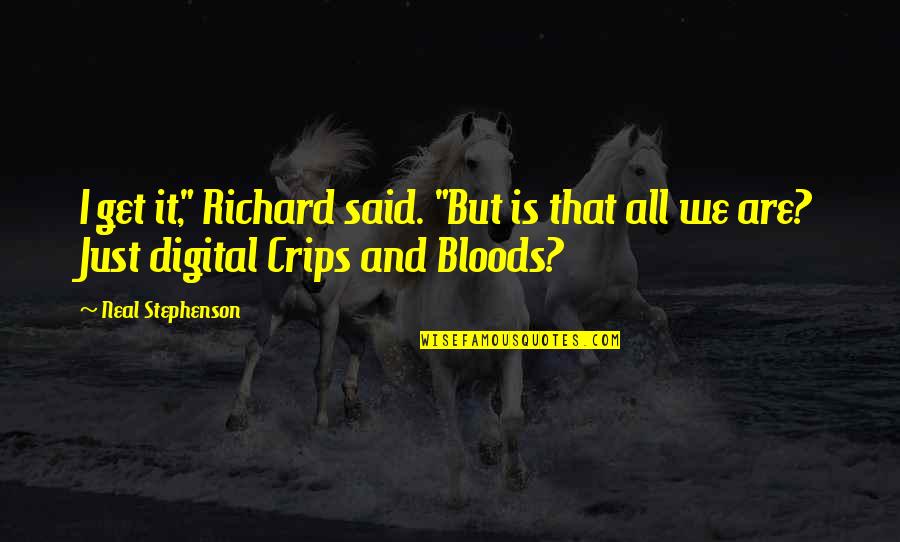 Bloods And Crips Quotes By Neal Stephenson: I get it," Richard said. "But is that