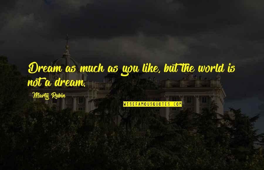 Bloody Painter Quotes By Marty Rubin: Dream as much as you like, but the