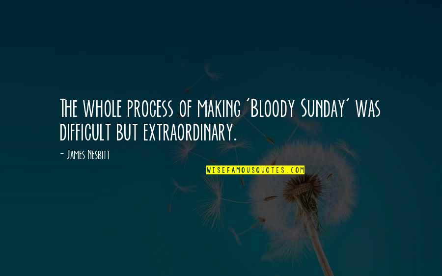 Bloody Sunday Quotes By James Nesbitt: The whole process of making 'Bloody Sunday' was