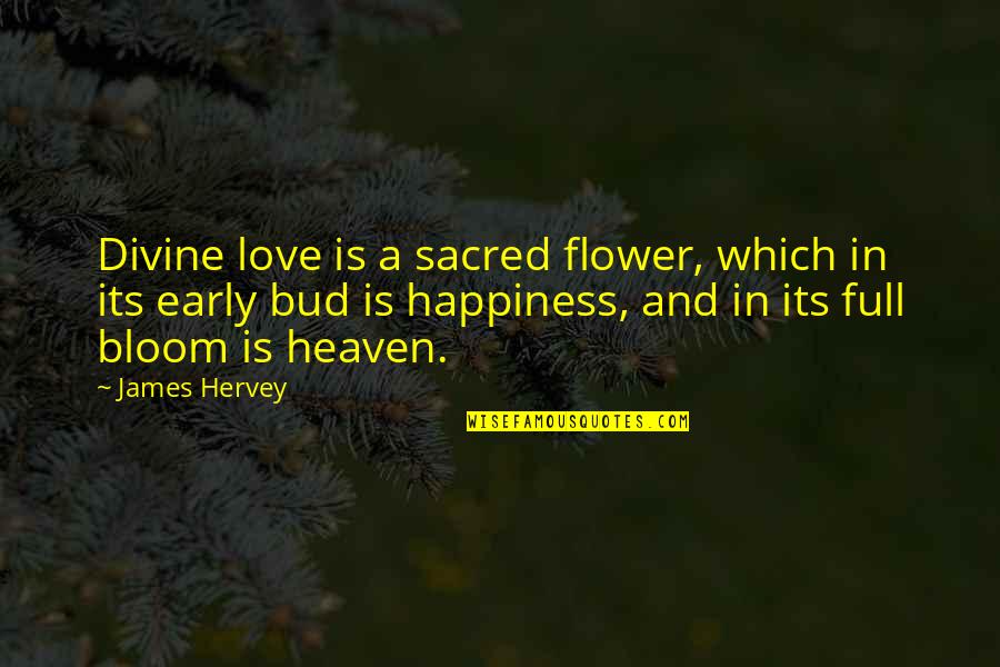Bloom In Love Quotes By James Hervey: Divine love is a sacred flower, which in Bloom In Love Quotes By James Hervey: Divine love is a sacred flower, which in