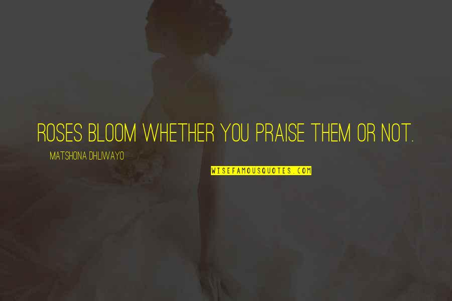 Bloom Quotes Quotes By Matshona Dhliwayo: Roses bloom whether you praise them or not.
