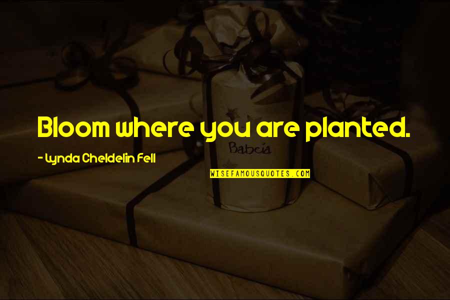 Bloom Where Planted Quotes By Lynda Cheldelin Fell: Bloom where you are planted.